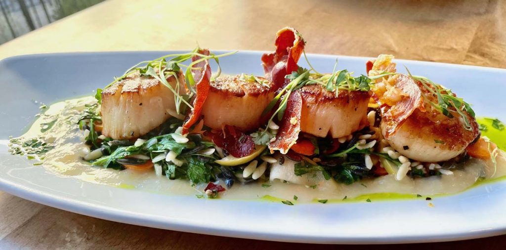 Plated entree of pan seared scallops garnished with bacon.