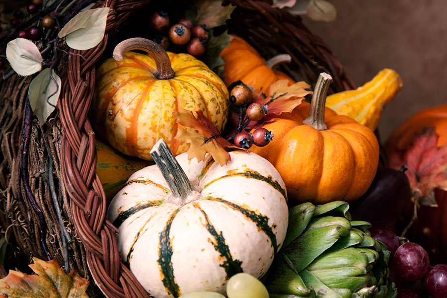 Array of multi-colored fall gourds in and around a horn of plenty